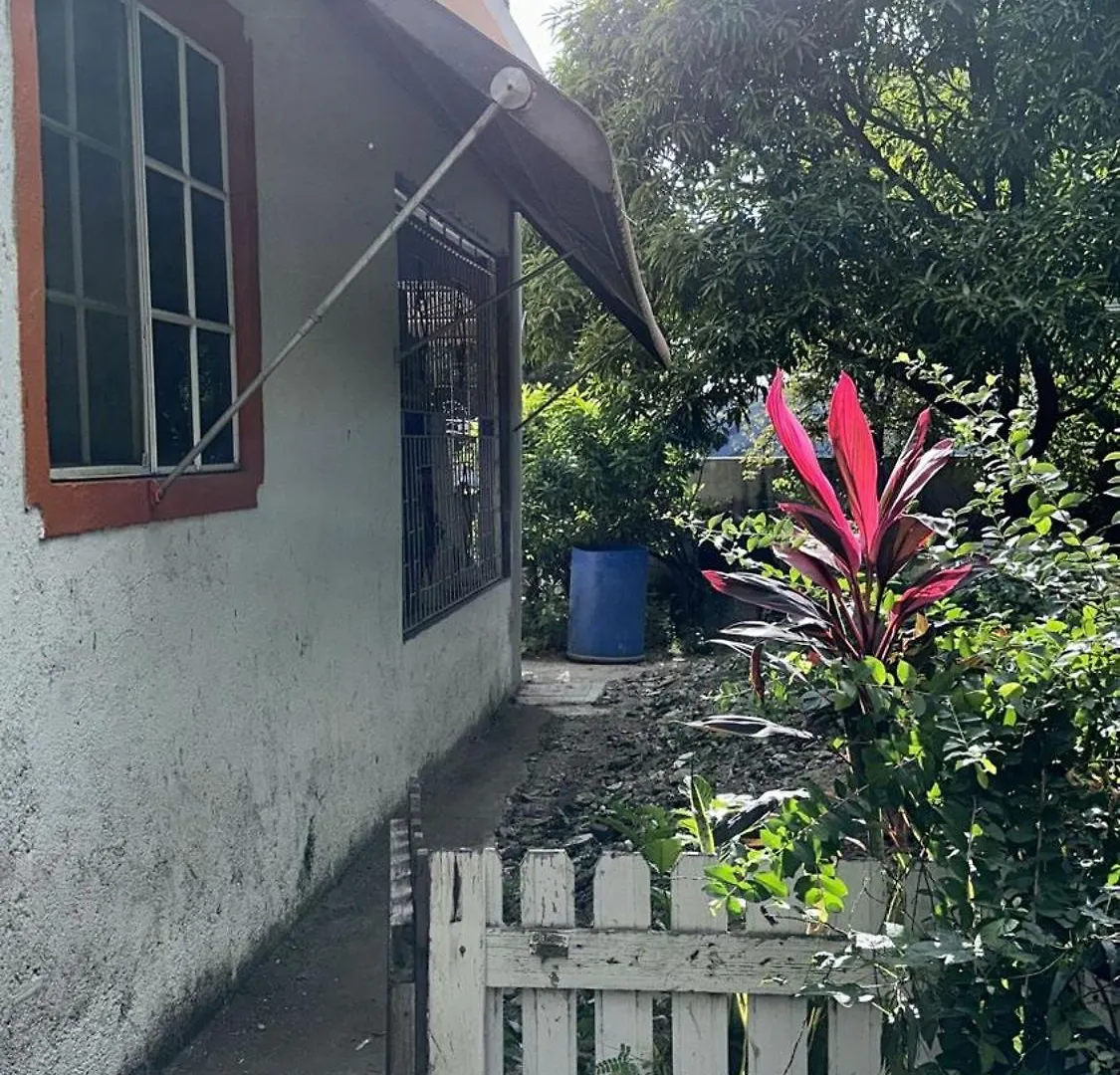 Guest house Room In House - Charming Kingston Room For Rent - Private Entrance Full Access
